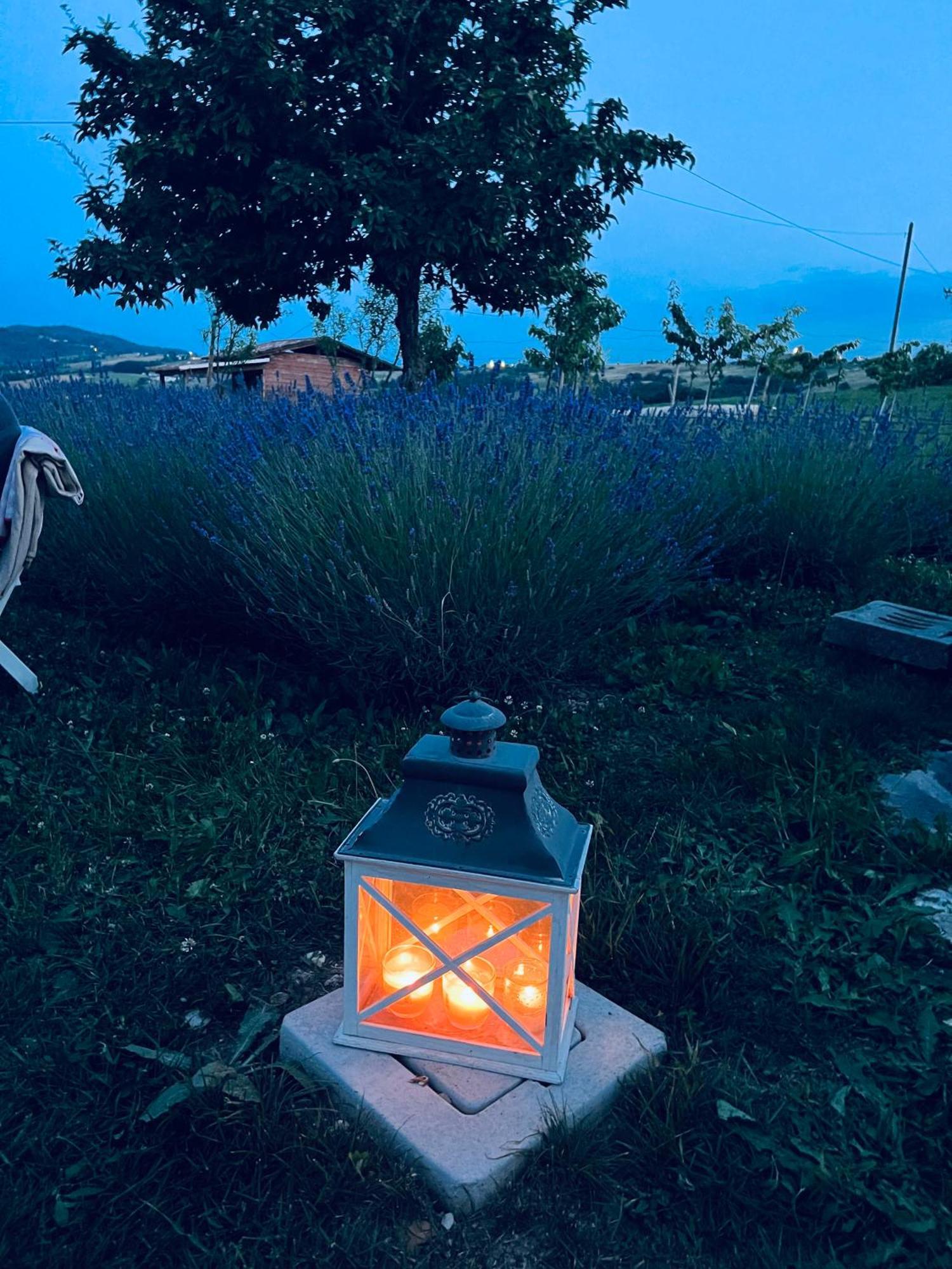 La Baita Nei Boschi Βίλα Serramazzoni Εξωτερικό φωτογραφία
